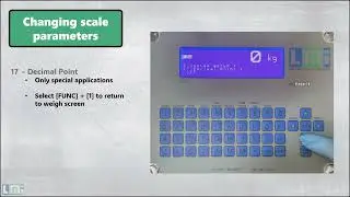 LS210 Scale: Setup of the In-Motion Type
