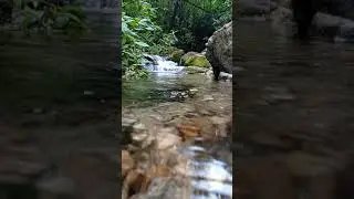 Go with the flow like the water
