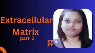 Extracellular Matrix // Matrix polysaccharides// Adhesion Protein // Cell Matrix interaction // B.sc