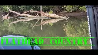 FLATHEADS/CATFISHING/Kanawha river,  West Virginia