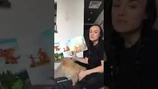 Zog Story time with Nala and Zeus the Pomeranians