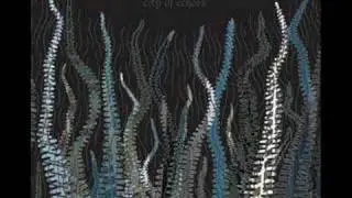 Pelican - A Delicate Sense of Balance