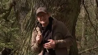 Ein Tag im Frühling bei der Wildnisschule - unterwegs mit dem Voologen Paul