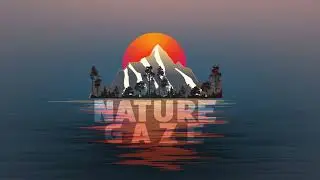 nature gaze intro