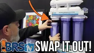 7 Essential RODI Tips for a Thriving Saltwater Aquarium!