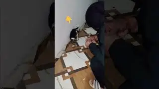 Only 10 rs 👍🙏 #viral #support #shortvideos #shorts #dog #doglife #help #life #like #subscribe #reels