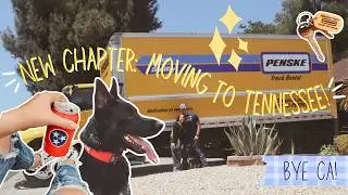 Moving Cross Country - California to Tennessee With My Dog - Vlog