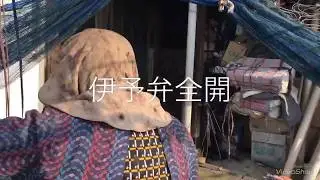 愛媛県西条市 