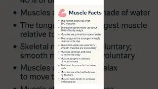 #MuscleFacts #FitnessFacts #MuscleGrowth #WorkoutTips #GymMotivation #Bodybuilding