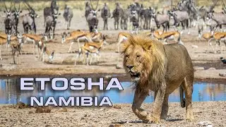 Namibie - NP Etosha od západu na východ  | J&B Road trip