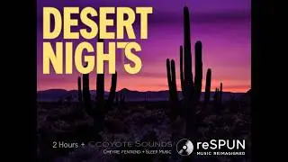 🏜️ 