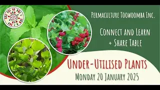 Connect and Learn- January 2025 - Under Utilised Plants   Talara Nicholas
