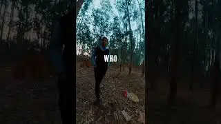 #shortvideo #travel #trendingshorts #trendingsong #forest do it live it