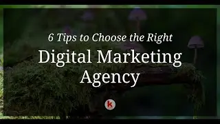 6 Tips to Choose the Right Digital Marketing Agency