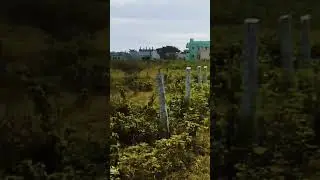 1000sq yards commercial plot for sale