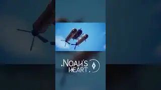 Noah's Heart