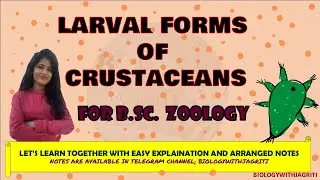 LARVAL FORMS OF CRUSTACEANS BSc ZOOLOGY 1YEAR| BIOLOGYWITHJAGRITI WITH ARRANGED NOTES
