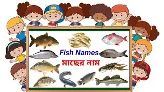 ইংরেজিতে দেশি মাছের নাম - Fish Name in English to Bangla - Bangladeshi Fish