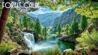 Relaxing Piano Music for Deep Forest Calm & Waterfall Sounds