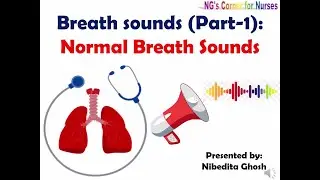 Breath Sounds: Part-1:Normal Breath Sounds: Normal Lung Sounds: Bronchial Bronchovesicular Vesicular