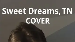 Sweet Dreams , TN - The Last Shadow Puppets | Acoustic COVER