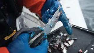 Gerber Processor Salt