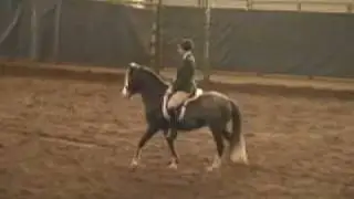 SMR Demo at the 2008 NW Horse Fair & Expo