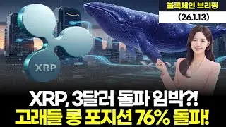 XRP, 3달러 돌파 임박?! 고래들 롱 포지션 76% 돌파!
