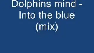Dolphins mind   into the blue