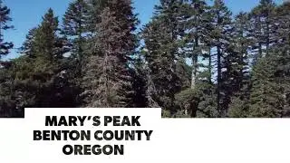 Mary&rsquo;s Peak Day Use Area, Benton County Oregon