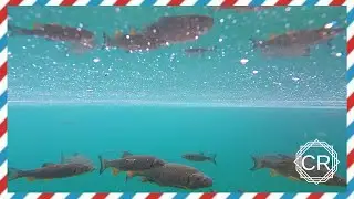 TRAVEL VLOG | CROATIA '18