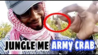 Jungle Me Army Crab 🦀 Pakadne Ka Tarika | Live Bait Fishing | KT Bandar | Harjina Fishing| Do Darya