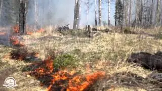 Banff National Park: Earth, Air, Prescribed Fire and Water - A month with the classical elements