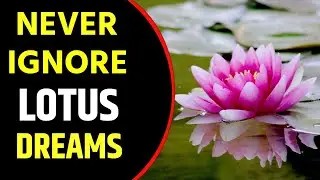 What does Lotus Flower dream meaning || Dreaming of Lotus || Lotus Flower dreams Interpretation
