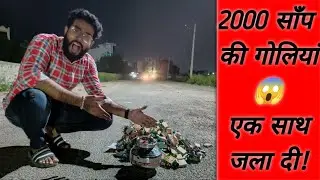 2000 SNAKE BOMB 🐍 at Once Fire Diwali Crackers Testing ~ 2000 Black Snakes at Once This Diwali 2022