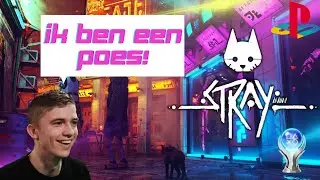 Postapocalyptisch kattenavontuur! - Stray #1 (DIPSAUS GAMERS)