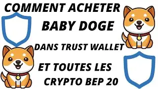 COMMENT ACHETER BABYDOGE, LITTLE RABBIT, FEG TOKEN, PITBULL, SHIBA CORGI