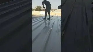 insulated sandwich panels long span roof #shorts #shortsvideo #shortfeed #short