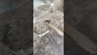 Dead Battery Negative Plate Repair | Lead Acid Battery Repair at Home