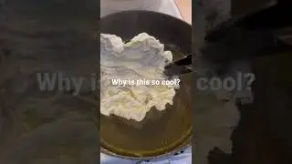 Fried rice paper! So fun!