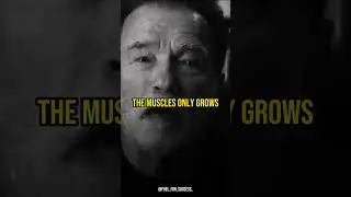 Conquer Pain and Forge Strength - Arnold Schwarzenegger on Embracing Discomfort #shorts