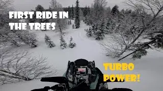 2024 Ski-Doo Freeride 146