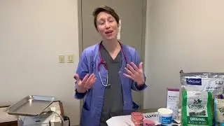 VETERINARY DENTIST Q&A: Doggy Dentist, Cost, and Why Your Pet Will Feel Better - Part 1 of 2!