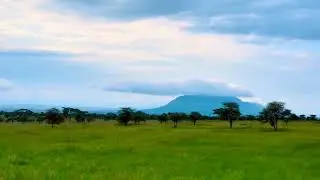 Central Serengeti in the Seronera Area #safari #tanzania #africa