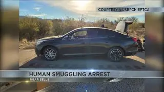 Border Patrol arrested driver for allegedly smuggling undocumented immigrants in trunk of car