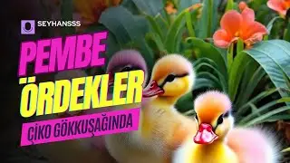 Pembe Ördekler