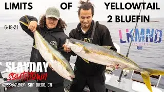 Limits of yellowtail + 2  bluefin 37 miles from mission bay  San Diego  on the Slayday Southtown
