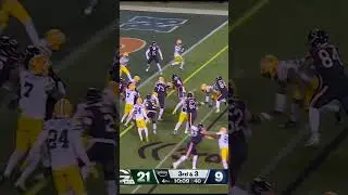2025 Chicago Bears Wild Card Game Highlights (NFL)