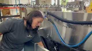 How the Evolution Dog Wash Makes Cleanup Fast and Effortless