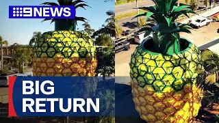 Big Pineapple ready to open after renovation | 9 News Australia